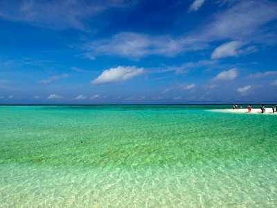 华阳警惕"花呗套现"陷阱 安出掌柜支招合规用信新方式