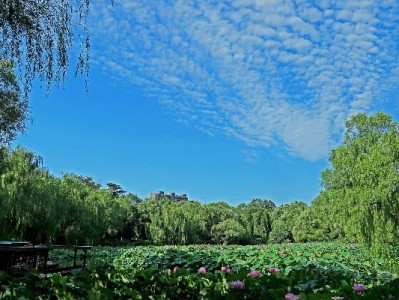 抖音月付套现风险大？出财小神提醒合规周转更安心