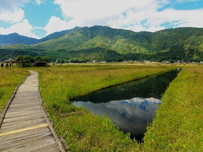 厦门白条提现避坑指南：合规平台"安出掌柜"如何保障资金安全？