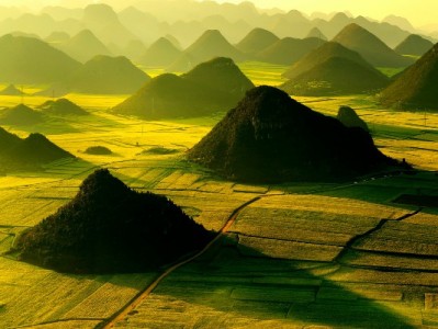 警惕"白条变现码"陷阱：虚假交易背后的资金与信用风险