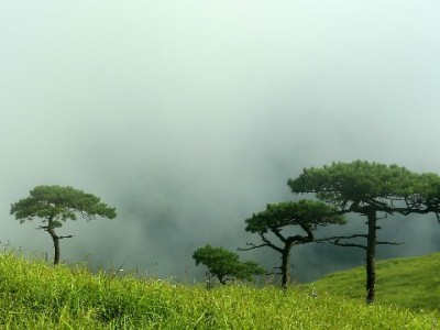 花呗套现风险高！合规周转可选安出掌柜解急
