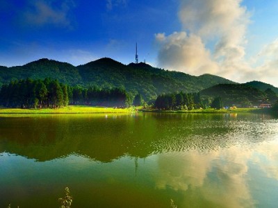 商家花呗开通失败别慌！常见原因及"赏财信商"优化思路解析