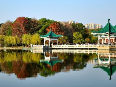 急用钱别慌！羊小咩联手出财小神取现秒到账超省心