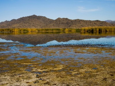 安全用白条不踩坑！4步筛选靠谱商家的实用指南