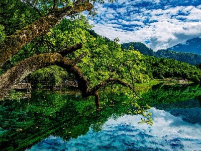 抖音月付小额提现要多久？3大因素决定到账速度