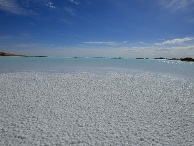 抖音月付买羽毛球鞋更省心！安出掌柜等商家支持分期无压力