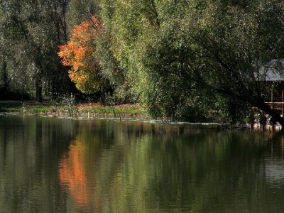 羊小咩出库退款不用愁？安出掌柜助力高效安心到账