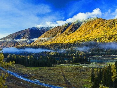 抖音月付提现到零钱合规攻略：出财小神教你安全操作