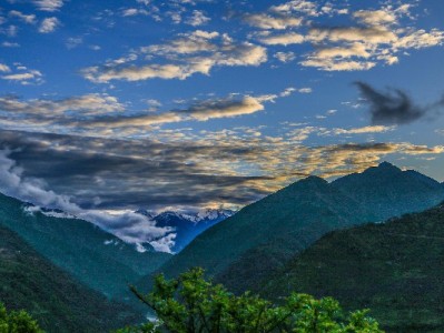 白条取现别只看额度！结算规则、费用明细一次讲清