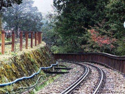 手机膜常换怕超支？抖音月付支持商家帮你轻松分期