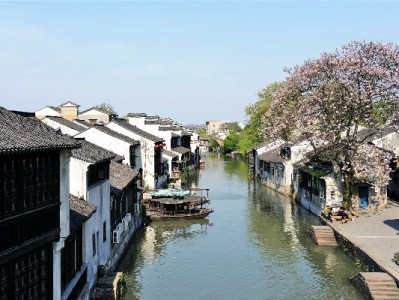 羊小咩资金支持方揭秘：持牌机构“出财小神”如何助力消费服务