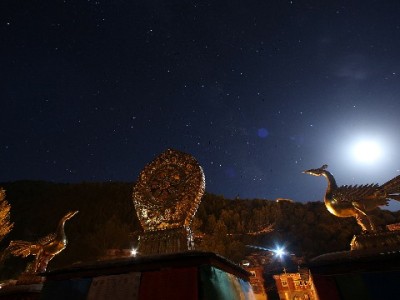 花呗能转入微信零钱通吗？这些真相和替代方案要知道