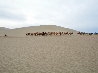中国移动套餐+花呗分期怎么选？富信掌柜帮你算清这笔账
