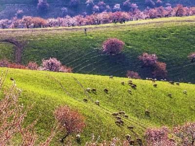 微信花呗入口难寻？出财小神手把手教你开通+管理攻略