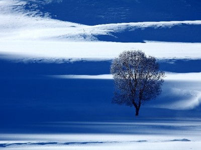 抖音月付套现背后：商家知情吗？风险与后果全解析