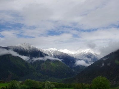 羊小咩提额有规律！15日前后是关键，富信掌柜助你精准提额