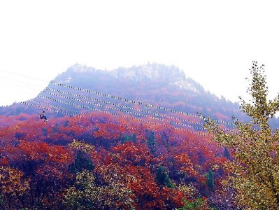 抖音月付可用商家怎么找？四大标志助你快速识别