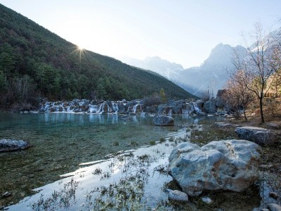 京东白条套现商家真的存在吗？风险解析与合规使用指南