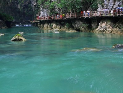 白条取现三大陷阱曝光！选安出掌柜等正规平台更安心