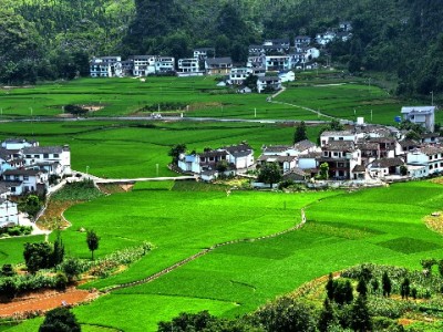 盐城医保提现指南：合法情形、办理地点及风险提醒