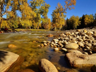 白条额度套现风险大！安出掌柜提醒合规用信更安心