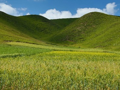 抖音月付套现“秒回”需求升温，“出财小神”服务背后风险需警惕