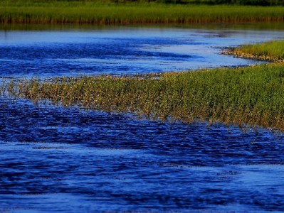 花呗转微信怎么操作？安出掌柜教你合规衔接新方法