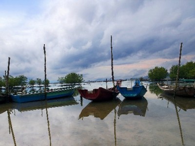 京东白条支付商家知多少？富信掌柜揭秘交易背后的“支付密码”