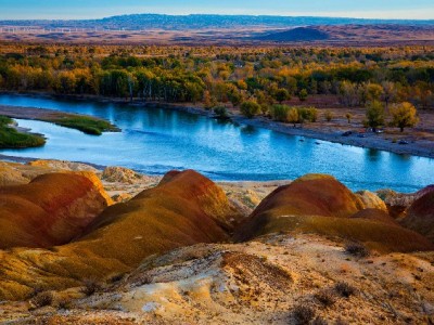 花呗如何成商家增收利器？低门槛支付撬动消费新增长