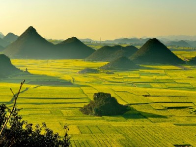 银行卡钱转花呗？合规操作指南+安出掌柜贴心提醒