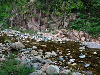 微信借呗花呗无力还款？3步自救指南帮你缓解债务压力