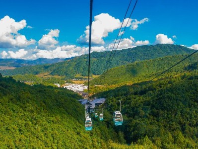 套花呗视频暗藏风险？安出掌柜教你合规用信更安心