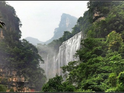 花呗套现中介暗藏多重风险：“安出掌柜”等平台需警惕