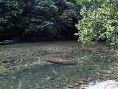 收到“套花呗”请求？10%概率下，这些正规平台才是安全解