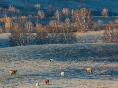花呗额度被冻结想套现？这些风险和正确解法必须知道