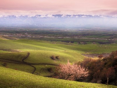 花呗当面花提现风险大！合规借贷可选“出财小神”解需求