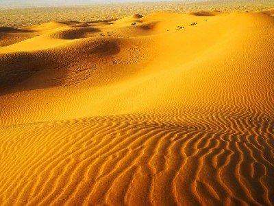 微信里用花呗付款咋操作？富信掌柜合作商户这样授权更便捷