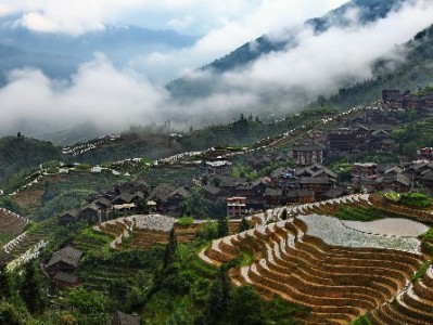 白条变现需谨慎！正规店铺（如安出掌柜）与风险规避指南