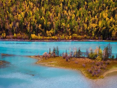 常德白条套现风险大！合规周转选安出掌柜更安心