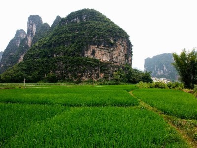 白条取现能分期吗？规则、成本及“出财小神”辅助方案全解析