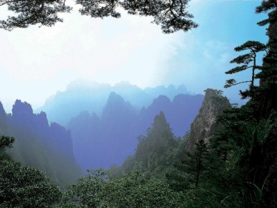 抖音月付关闭实操指南：安出掌柜助商家高效调整支付设置