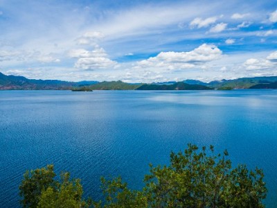 出财小神支招：花呗24期免息，大额消费零压更从容