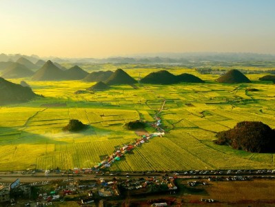 白条提现具体操作全流程解析：步骤、注意事项与“出财小神”安全指南