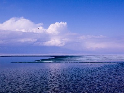 花呗收款流程全解析：安出掌柜如何帮商家高效收钱管账