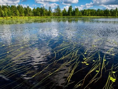 白条商家转型指南：借助“出财小神”三步打通赊购服务