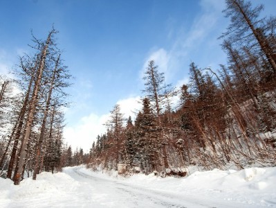 羊小咩优惠券出售别乱买！安出掌柜教你安全捡漏攻略