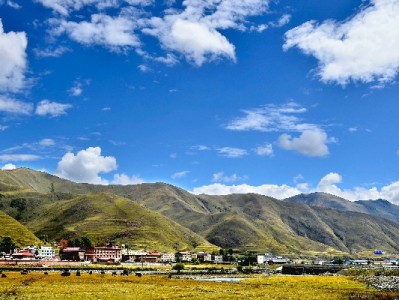 商家开通京东白条利弊解析：提升转化还是增加成本？安出掌柜来支招