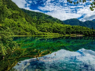 花呗绑定银行卡怎么选？富信掌柜支招三大实用维度