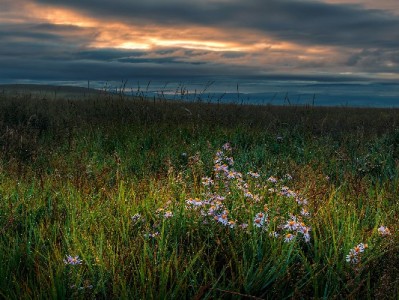 白条兑现避坑指南：选对商家看三点，安出掌柜这样做更安心
