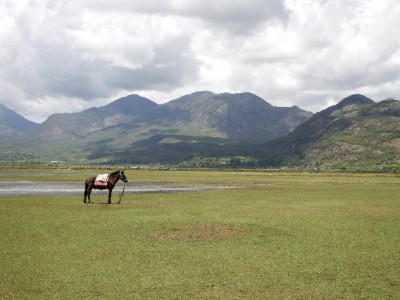 苹果分期花呗24期受限？出财小神教你解锁长周期方案